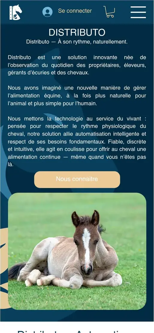 Le site Distributo sur mobile