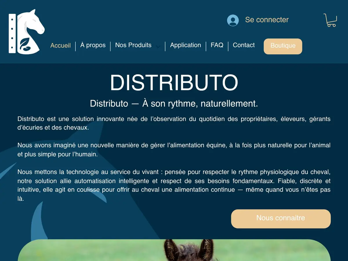 Le site Distributo sur tablette